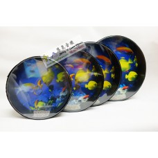 Advanced Ocean Drum 高級浪聲鼓 (10"-16")