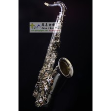 Berlioz TS-1000 次中音色士風